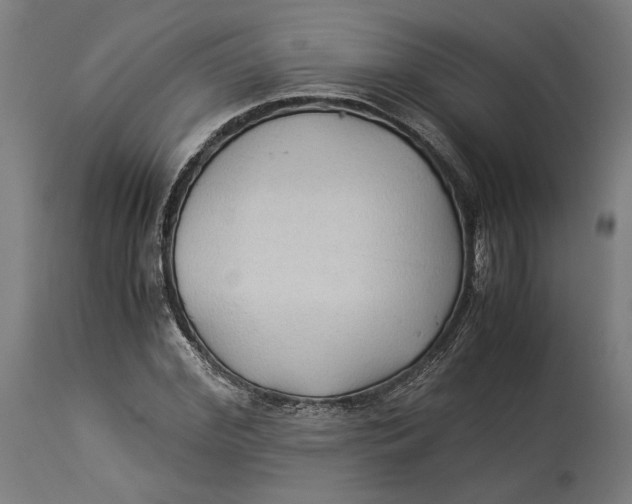 X0000114540972200911091129