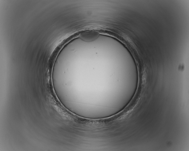 X0000114540973200911091129