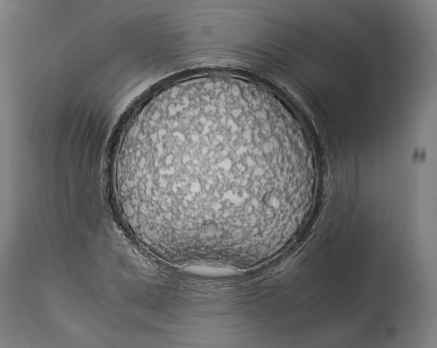 X0000114540975200911091129