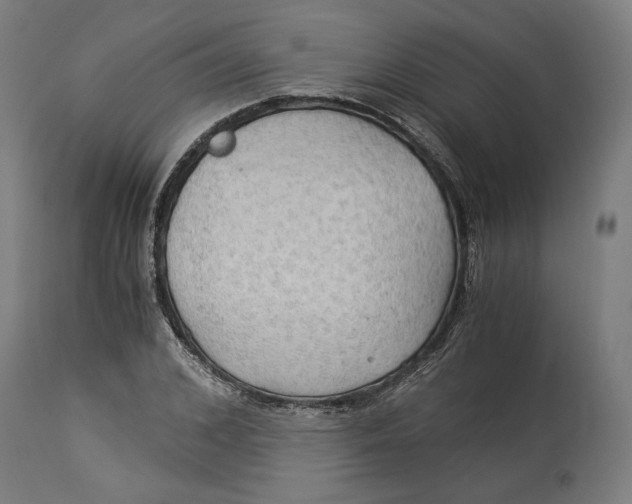 X0000114540976200911091129