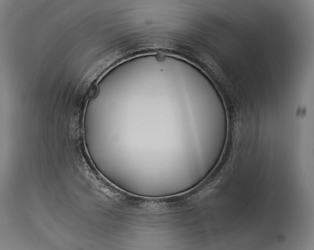 X0000114540977200911091129