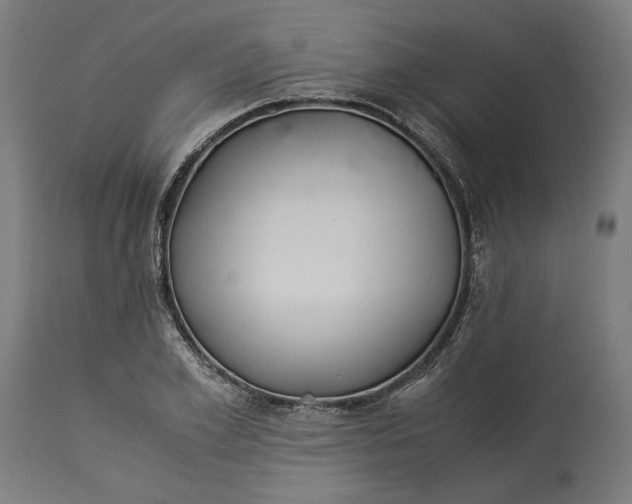 X0000114540981200911091129