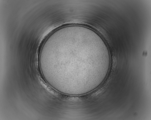 X0000114540982200911091129