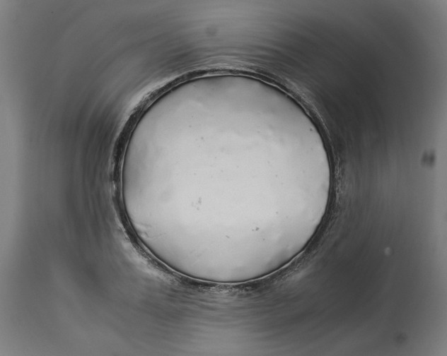 X0000114540987200911091129