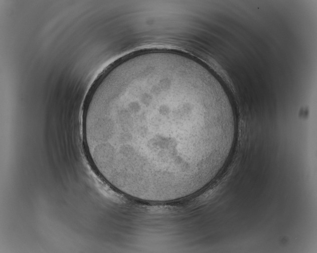 X0000114540988200911091129