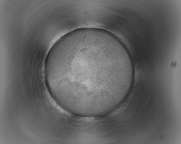 X0000114540990200911091129