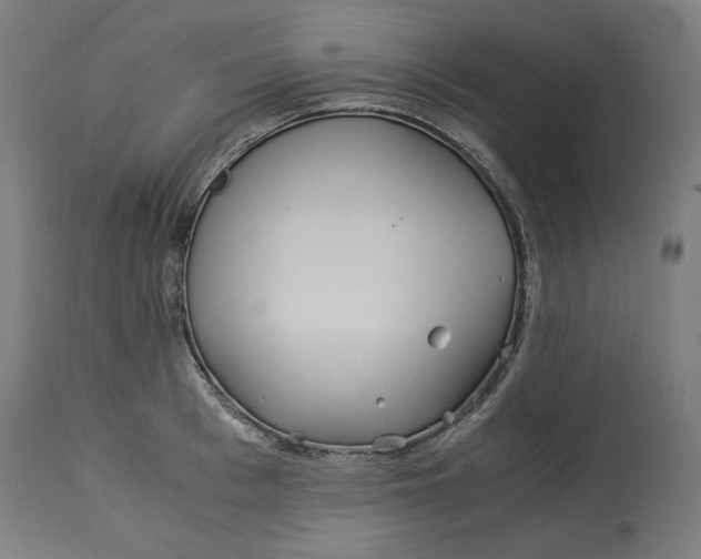 X0000114540993200911091129