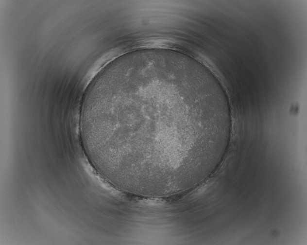 X0000114540994200911091129