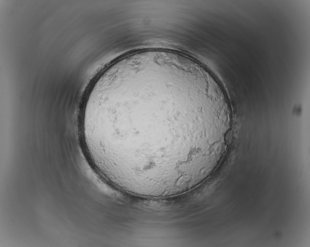 X0000114540995200911091129