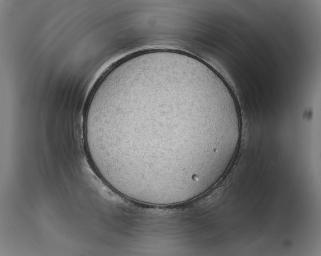 X0000114540996200911091129