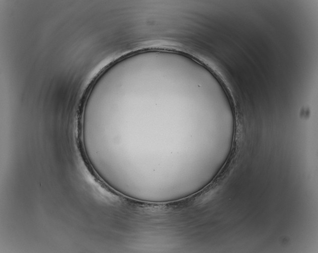 X0000114540999200911091129