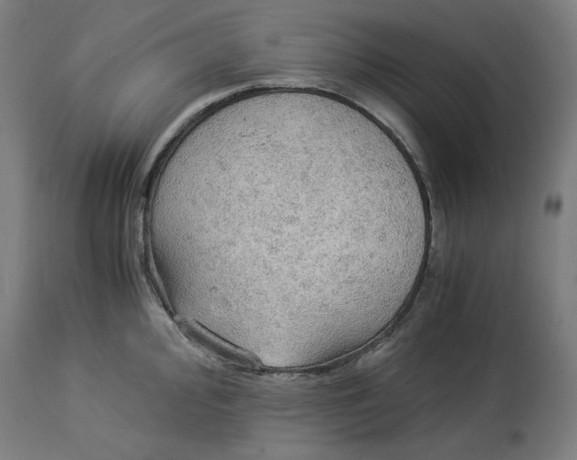 X0000114541000200911091129