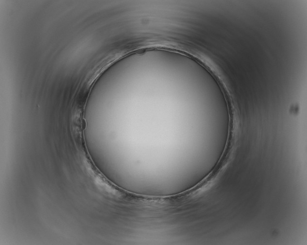 X0000114541001200911091129