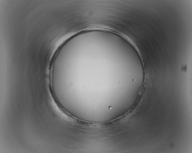 X0000114541003200911091129