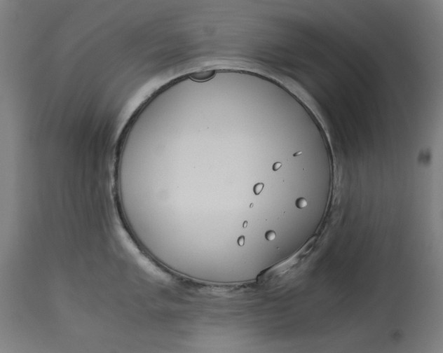 X0000114541005200911091128