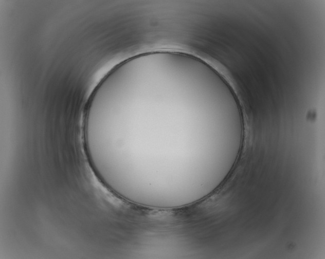 X0000114541006200911091128