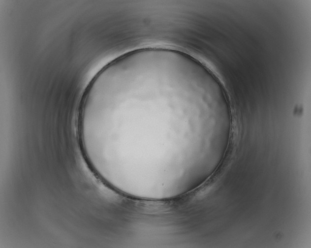 X0000114541007200911091128