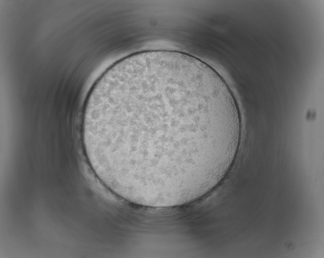 X0000114541008200911091128