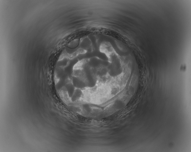 X0000114541013200911091128