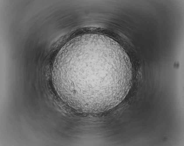 X0000114541014200911091128