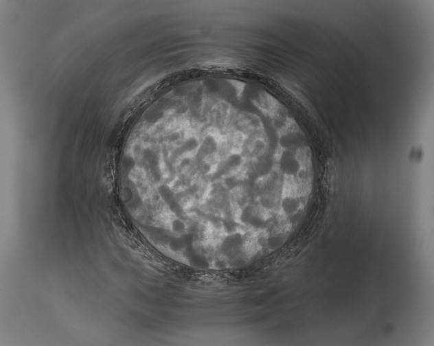 X0000114541015200911091128