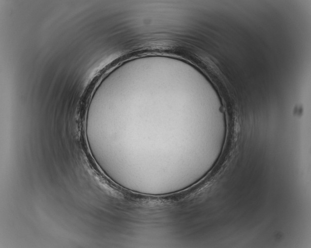 X0000114541018200911091128