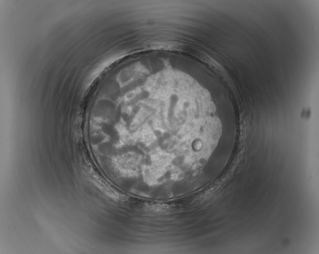 X0000114541019200911091128