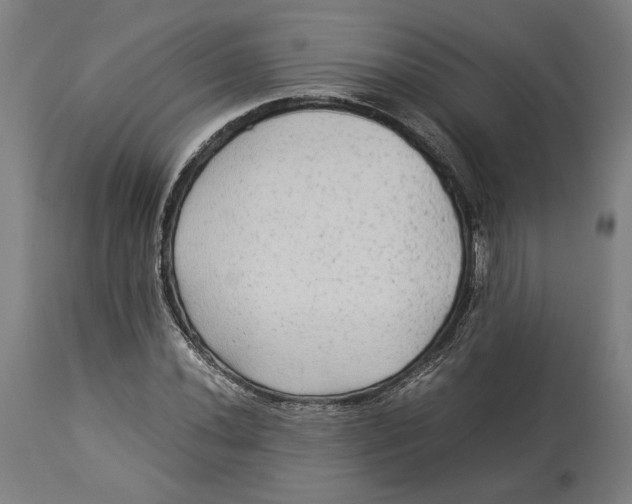 X0000114541020200911091128