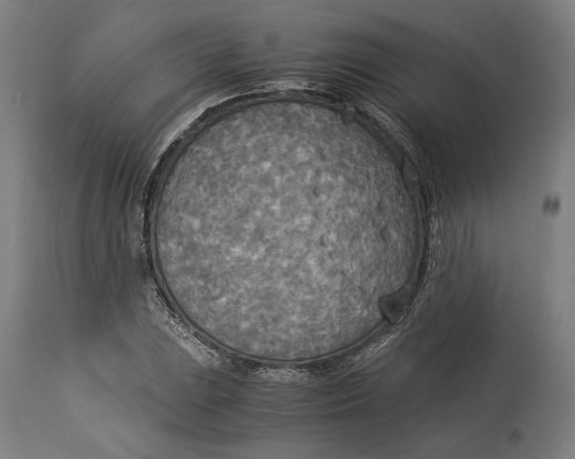 X0000114541023200911091128