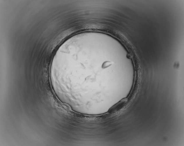 X0000114541025200911091128