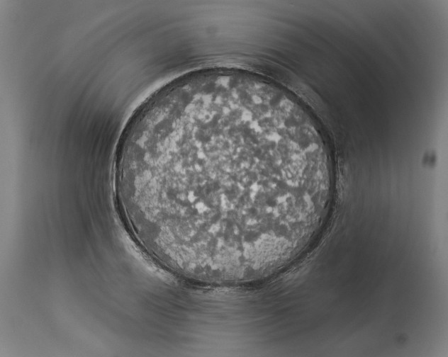 X0000114541028200911091128