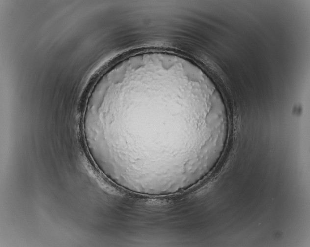 X0000114541029200911091128