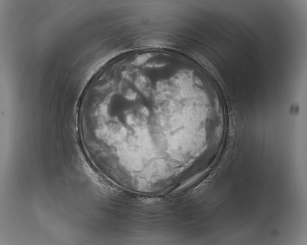 X0000114541031200911091128