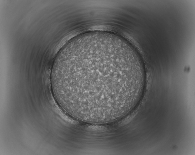 X0000114541033200911091128