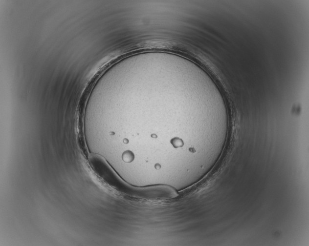 X0000114541034200911091128