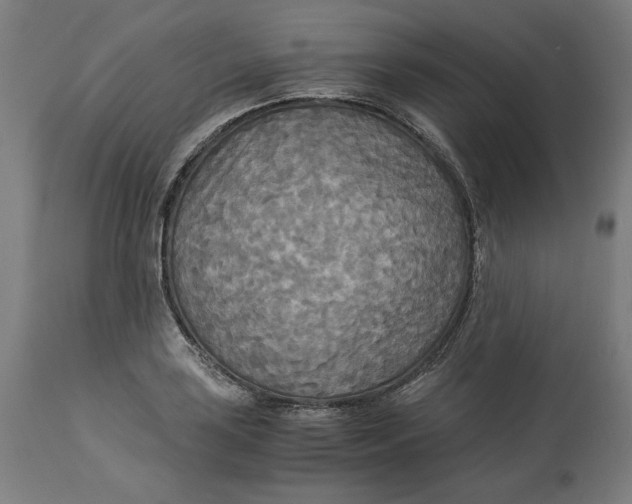 X0000114541035200911091128