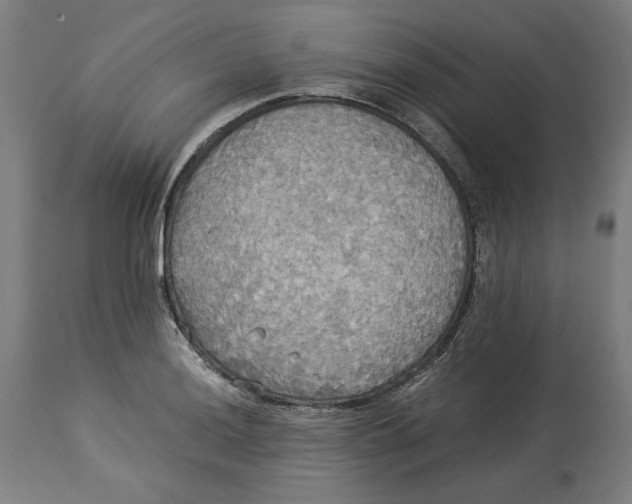 X0000114541036200911091128