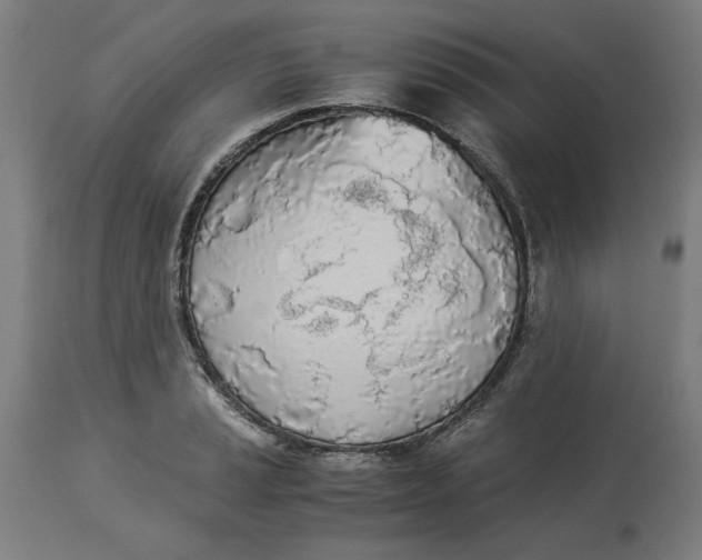 X0000114541037200911091128