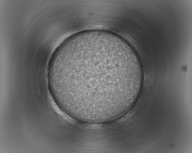 X0000114541038200911091128