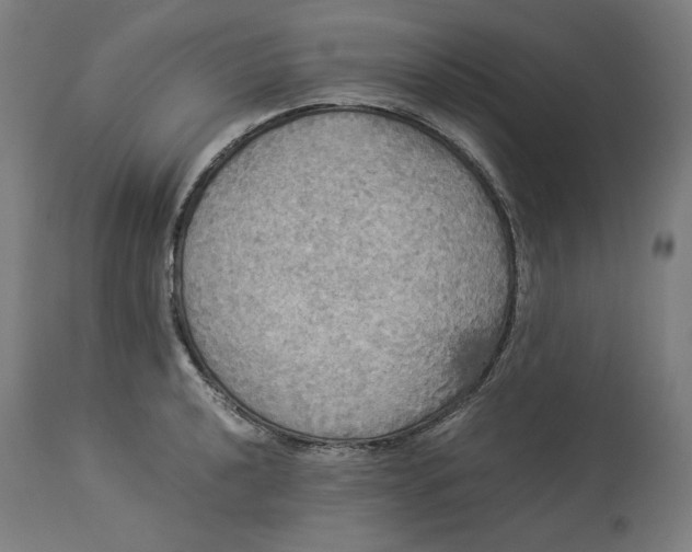 X0000114541040200911091128