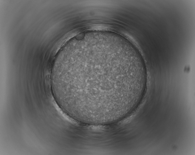 X0000114541041200911091128