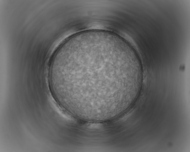 X0000114541043200911091128