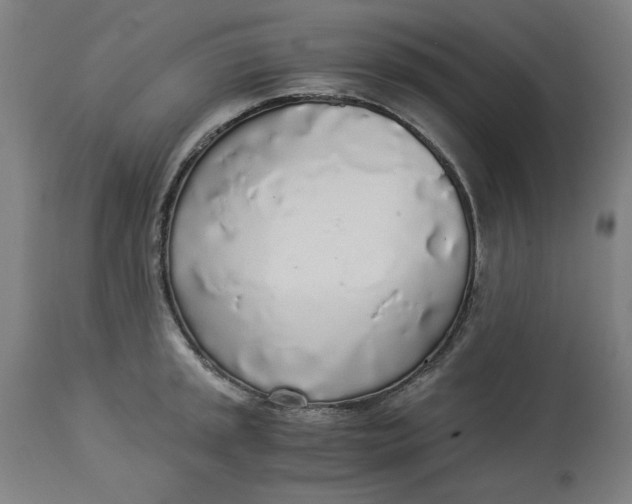 X0000114541045200911091128