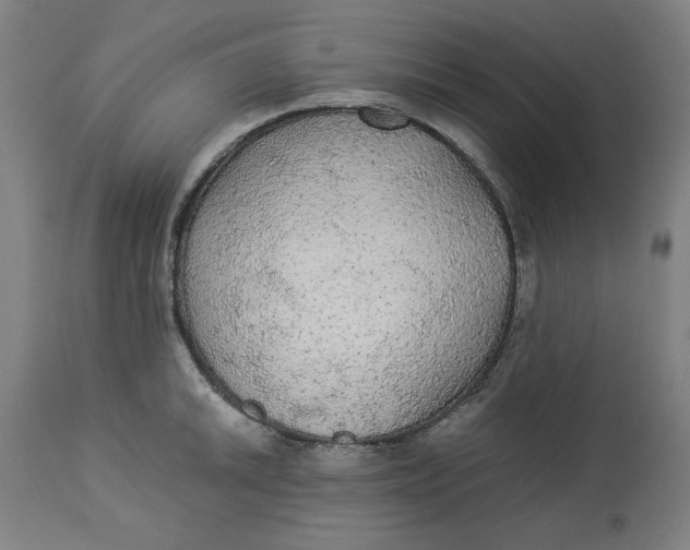 X0000114541046200911091128