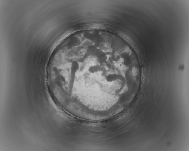 X0000114541047200911091128