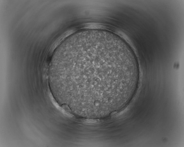 X0000114541049200911091128