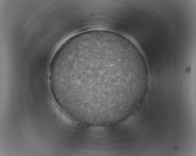 X0000114541051200911091128