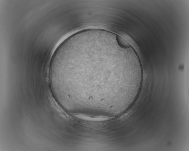 X0000114541052200911091128