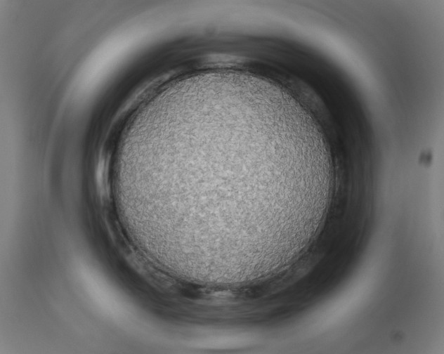 X0000114541054200911091128