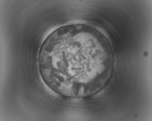 X0000114541055200911091128